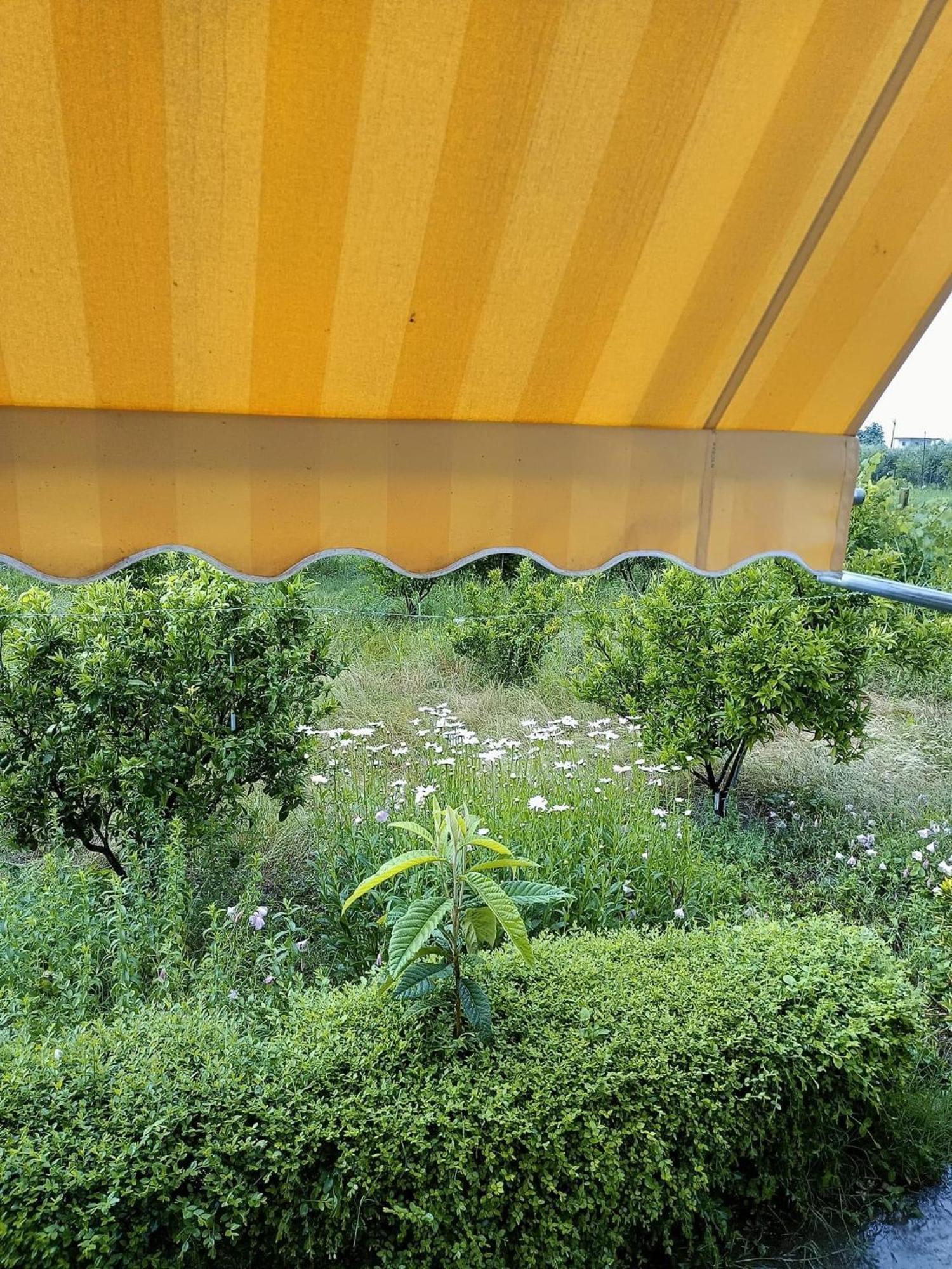 Guest House Fetie Berat Exterior foto